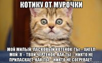 котику от мурочки мой милый, ласковый котенок, ты – ангел мой. я – твой чертенок. как ты – никто не приласкает, как ты – никто не согревает.