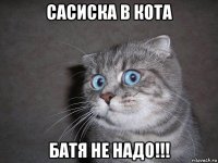 сасиска в кота батя не надо!!!