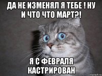 да не изменял я тебе ! ну и что что март?! я с февраля кастрирован