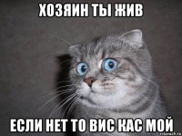 хозяин ты жив если нет то вис кас мой