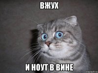 вжух и ноут в вине