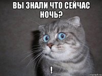 вы знали что сейчас ночь? !