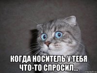  когда носитель у тебя что-то спросил...