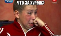 что за хурма? 