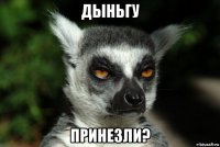 дыньгу принезли?