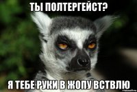 ты полтергейст? я тебе руки в жопу вствлю