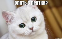 опять в прятки? 