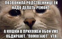 позвонила родственнице ей надо делать ремонт, а кошки в прихожей обои уже обдирают. "помогают". утя