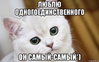 люблю одногоединственного он самый-самый*)