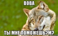 вова ты мне поможешь?м?