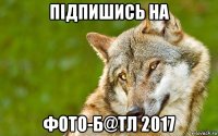 підпишись на фото-б@тл 2017