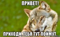 привет! приходи, тебя тут поймут.