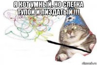 я кот умный, но слегка тупой и пиздатый !!! 