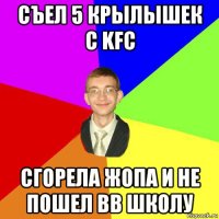 съел 5 крылышек с kfc сгорела жопа и не пошел вв школу