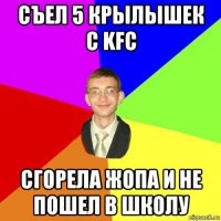 съел 5 крылышек с kfc сгорела жопа и не пошел в школу