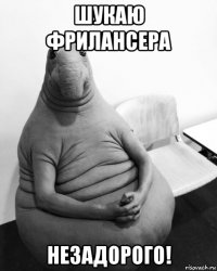 шукаю фрилансера незадорого!