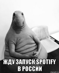  жду запуск spotify в россии