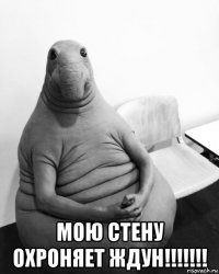  мою стену охроняет ждун!!!!!!!