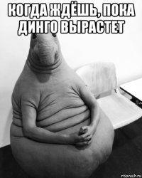 когда ждёшь, пока динго вырастет 