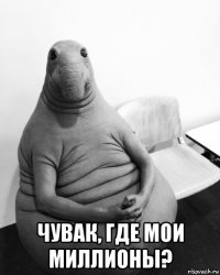  чувак, где мои миллионы?