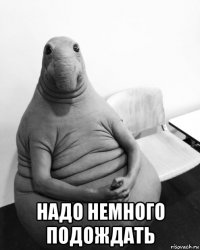  надо немного подождать