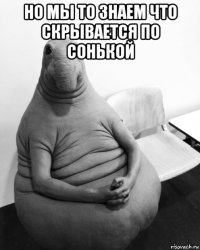 но мы то знаем что скрывается по сонькой 