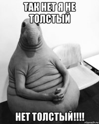 так нет я не толстый нет толстый!!!!