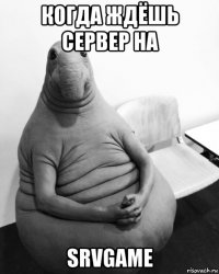 когда ждёшь сервер на srvgame