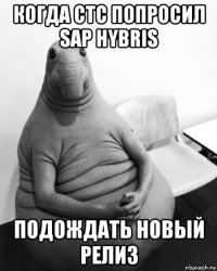 когда стс попросил sap hybris подождать новый релиз