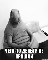  чего-то деньги не пришли