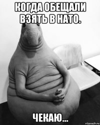 когда обещали взять в нато. чекаю...