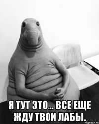  я тут это... все еще жду твои лабы.