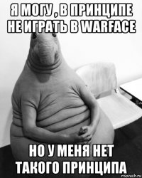 я могу , в принципе не играть в warface но у меня нет такого принципа