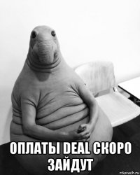  оплаты deal скоро зайдут