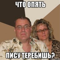 что опять пису теребишь?