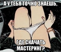 а у тебя точно знаешь, где скачать мастеринг?