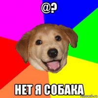 @? нет я собака