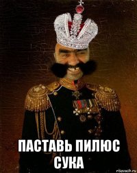  паставь пилюс сука