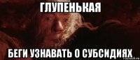 глупенькая беги узнавать о субсидиях