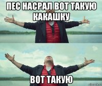 пес насрал вот такую какашку вот такую