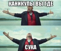 каникулы вы где сука