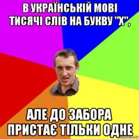 в українській мові тисячі слів на букву "х", але до забора пристає тільки одне