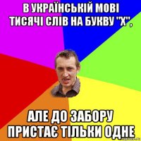 в українській мові тисячі слів на букву "х", але до забору пристає тільки одне