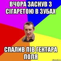 вчора заснув з сігаретою в зубах спалив пів гектара поля