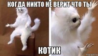 когда никто не верит что ты котик