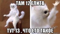 там 12 елита тут 13 , что ето такое