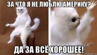 за что я не люблю америку? да за всё хорошее!