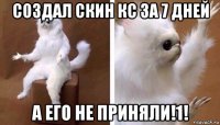 создал скин кс за 7 дней а его не приняли!1!