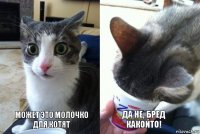 Может это молочко для котят да не, бред какойто!