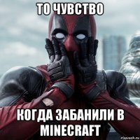 то чувство когда забанили в minecraft